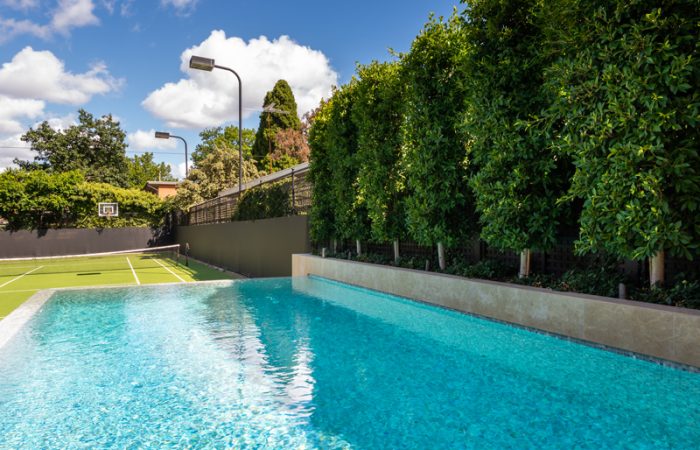 Feature-pools-pool-sanitiser